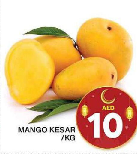 Mango Mango  in جراند هايبر ماركت in الإمارات العربية المتحدة , الامارات - دبي