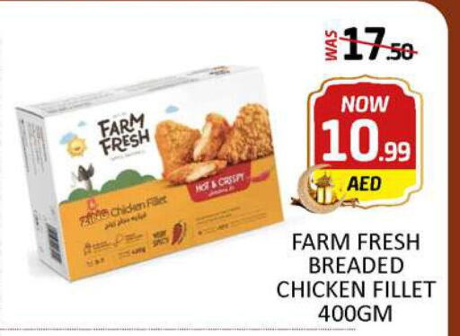 FARM FRESH Chicken Fillet  in Al Madina  in UAE - Dubai