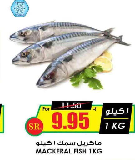  King Fish  in أسواق النخبة in مملكة العربية السعودية, السعودية, سعودية - حائل‎
