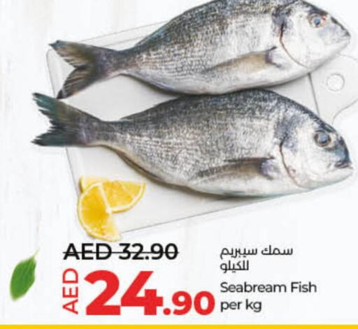  King Fish  in لولو هايبرماركت in الإمارات العربية المتحدة , الامارات - الشارقة / عجمان