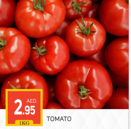  Tomato  in TALAL MARKET in UAE - Dubai