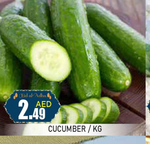  Cucumber  in عين المدينة هايبرماركت in الإمارات العربية المتحدة , الامارات - الشارقة / عجمان
