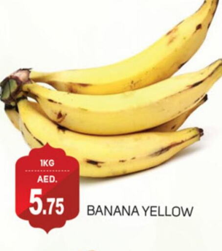  Banana  in سوق طلال in الإمارات العربية المتحدة , الامارات - الشارقة / عجمان
