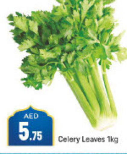  Celery  in مانجو هايبرماركت in الإمارات العربية المتحدة , الامارات - دبي