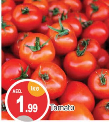  Tomato  in سوق طلال in الإمارات العربية المتحدة , الامارات - الشارقة / عجمان