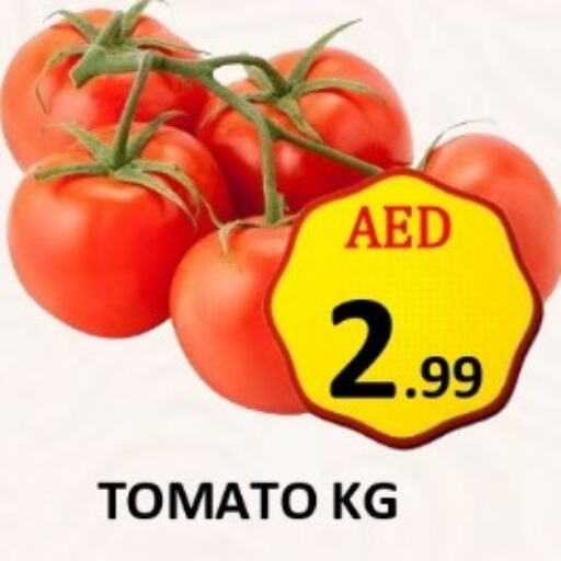  Tomato  in سي.ام. سوبرماركت in الإمارات العربية المتحدة , الامارات - أبو ظبي