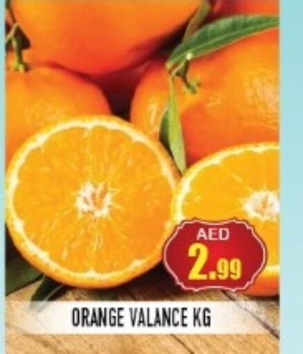  Orange  in سنابل بني ياس in الإمارات العربية المتحدة , الامارات - أم القيوين‎