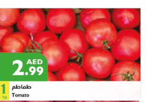 Tomato  in Istanbul Supermarket in UAE - Abu Dhabi
