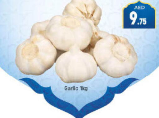  Garlic  in مانجو هايبرماركت in الإمارات العربية المتحدة , الامارات - دبي
