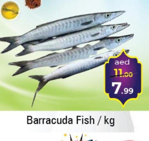  King Fish  in سوق المبارك هايبرماركت in الإمارات العربية المتحدة , الامارات - الشارقة / عجمان