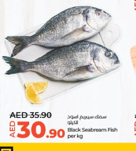  King Fish  in لولو هايبرماركت in الإمارات العربية المتحدة , الامارات - أبو ظبي