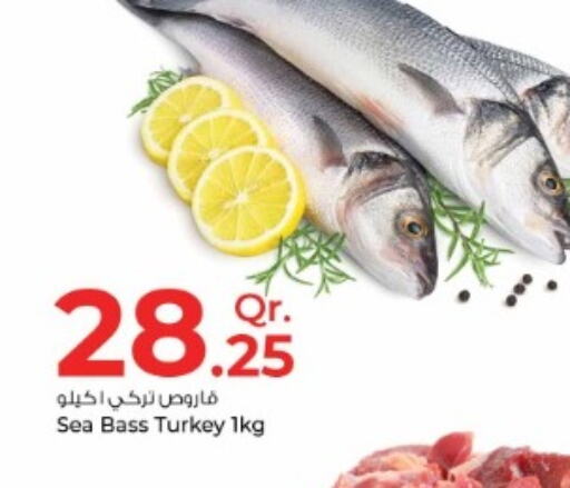  King Fish  in Rawabi Hypermarkets in Qatar - Al Wakra