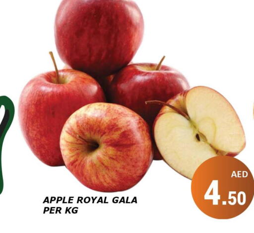  Apples  in كيرالا هايبرماركت in الإمارات العربية المتحدة , الامارات - رَأْس ٱلْخَيْمَة