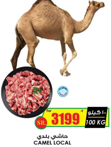  Camel meat  in Prime Supermarket in KSA, Saudi Arabia, Saudi - Al Hasa
