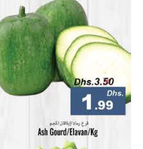  Gourd  in PASONS GROUP in UAE - Fujairah