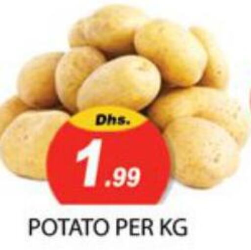  Potato  in زين مارت سوبرماركت in الإمارات العربية المتحدة , الامارات - رَأْس ٱلْخَيْمَة