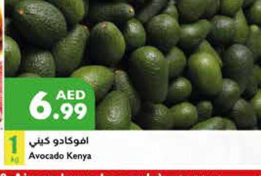  Avacado  in Istanbul Supermarket in UAE - Al Ain