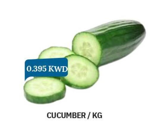  Cucumber  in أوليف هايبر ماركت in الكويت - مدينة الكويت