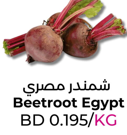  Beetroot  in رويان ماركت in البحرين