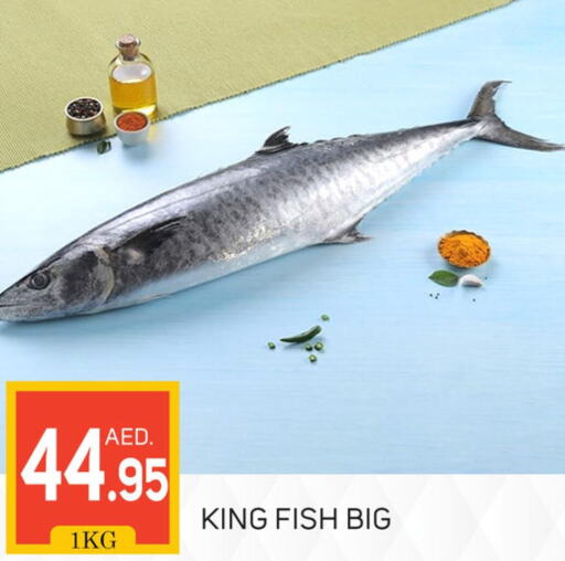 King Fish  in TALAL MARKET in UAE - Dubai