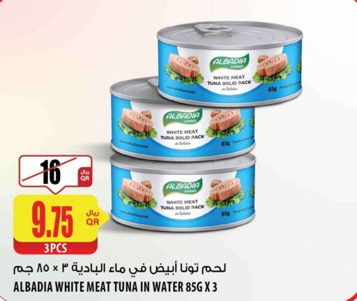  Tuna - Canned  in Al Meera in Qatar - Al Daayen