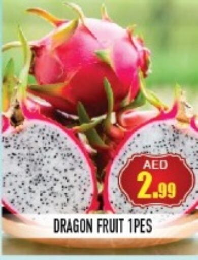  Dragon fruits  in سنابل بني ياس in الإمارات العربية المتحدة , الامارات - أم القيوين‎