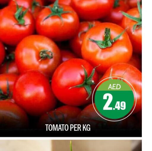  Tomato  in BIGmart in UAE - Abu Dhabi