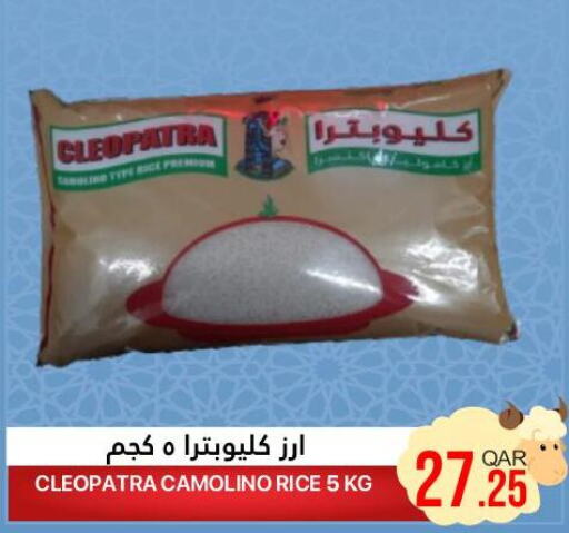  Basmati / Biryani Rice  in القطرية للمجمعات الاستهلاكية in قطر - الشمال