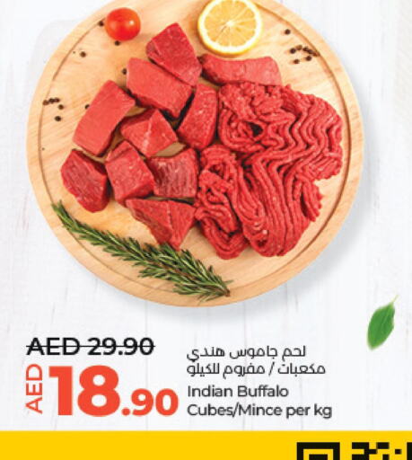  Buffalo  in Lulu Hypermarket in UAE - Al Ain