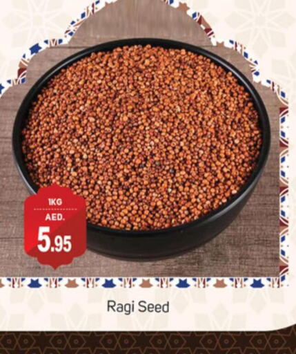  Ragi  in سوق طلال in الإمارات العربية المتحدة , الامارات - الشارقة / عجمان