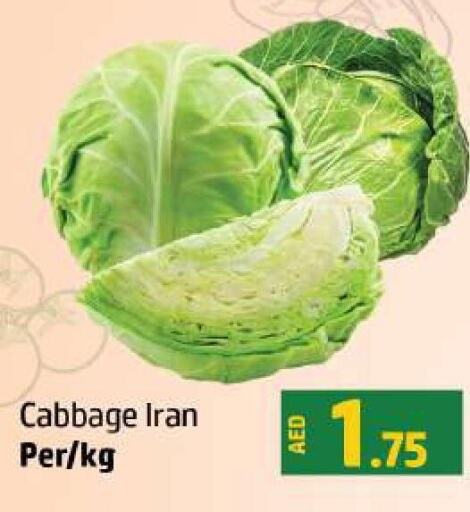  Cabbage  in الحوت  in الإمارات العربية المتحدة , الامارات - رَأْس ٱلْخَيْمَة
