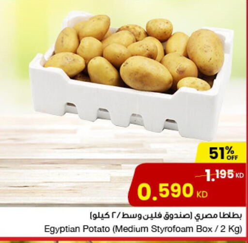  Potato  in مركز سلطان in الكويت - محافظة الجهراء