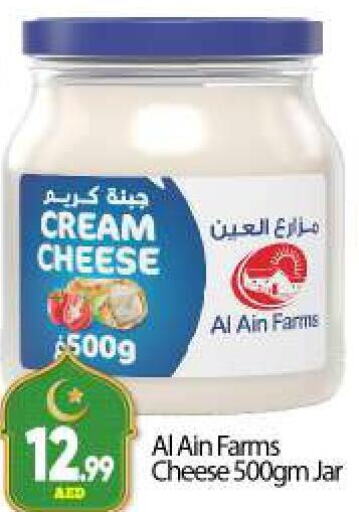 AL AIN Cream Cheese  in بيج مارت in الإمارات العربية المتحدة , الامارات - دبي