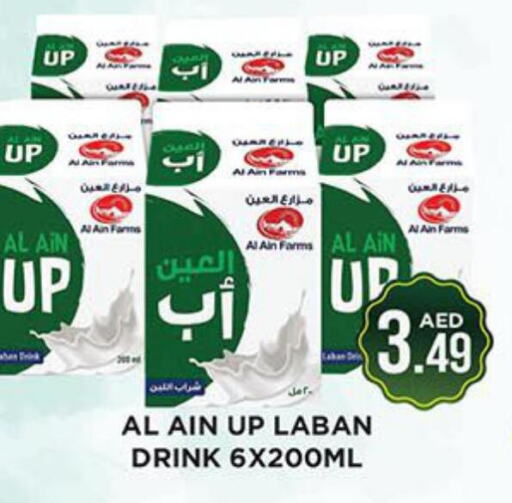 AL AIN Laban  in Ainas Al madina hypermarket in UAE - Sharjah / Ajman