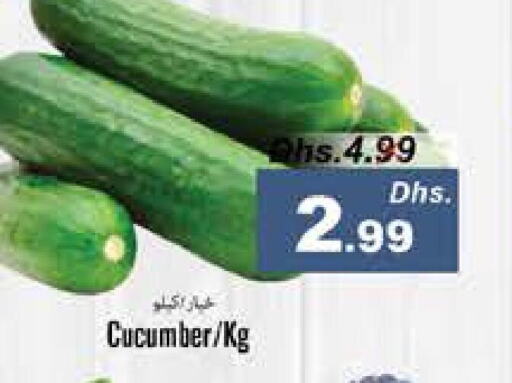  Cucumber  in PASONS GROUP in UAE - Fujairah