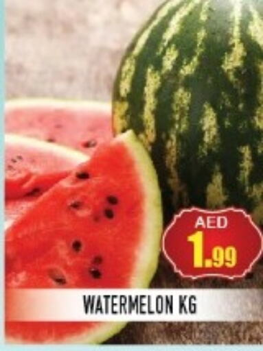  Watermelon  in سنابل بني ياس in الإمارات العربية المتحدة , الامارات - أم القيوين‎