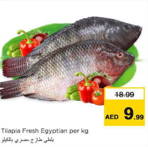  King Fish  in نستو هايبرماركت in الإمارات العربية المتحدة , الامارات - ٱلْعَيْن‎