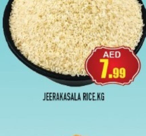  Jeerakasala Rice  in سنابل بني ياس in الإمارات العربية المتحدة , الامارات - أم القيوين‎