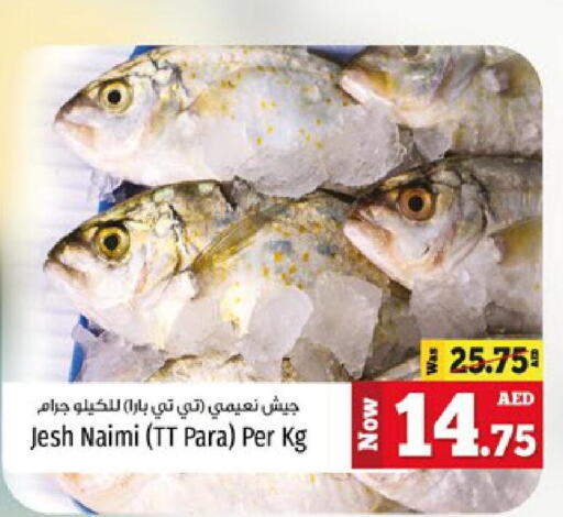  King Fish  in كنز هايبرماركت in الإمارات العربية المتحدة , الامارات - الشارقة / عجمان