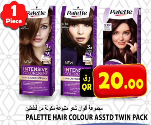 PALETTE Hair Colour  in Gourmet Hypermarket in Qatar - Al-Shahaniya