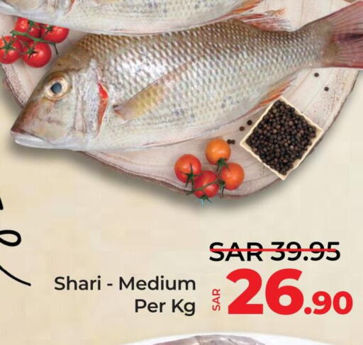  King Fish  in LULU Hypermarket in KSA, Saudi Arabia, Saudi - Al Hasa