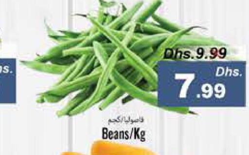  Beans  in PASONS GROUP in UAE - Fujairah