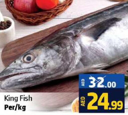  King Fish  in Al Hooth in UAE - Ras al Khaimah