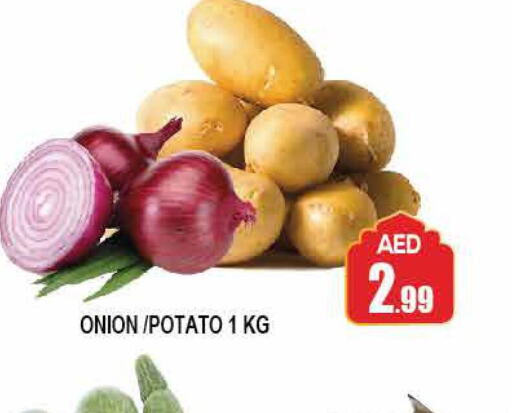  Potato  in TALAL MARKET in UAE - Abu Dhabi