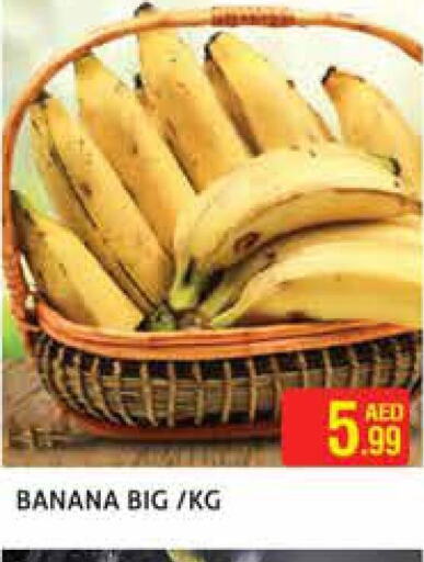  Banana  in مركز النخيل هايبرماركت in الإمارات العربية المتحدة , الامارات - الشارقة / عجمان