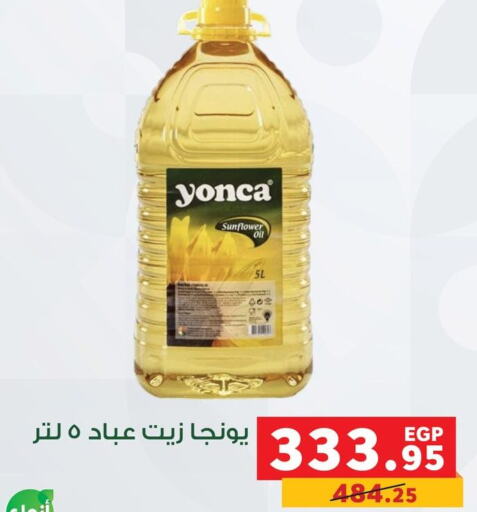  Sunflower Oil  in بنده in Egypt - القاهرة