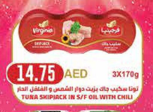  Tuna - Canned  in سبار هايبرماركت in الإمارات العربية المتحدة , الامارات - ٱلْعَيْن‎