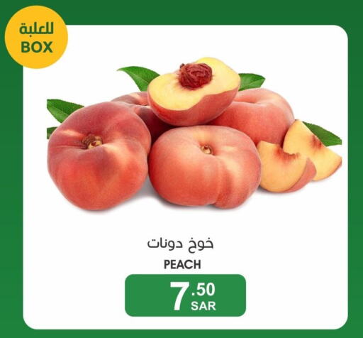  Peach  in Mazaya in KSA, Saudi Arabia, Saudi - Dammam