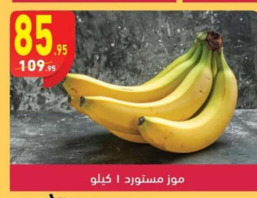  Banana  in Mahmoud El Far in Egypt - Cairo