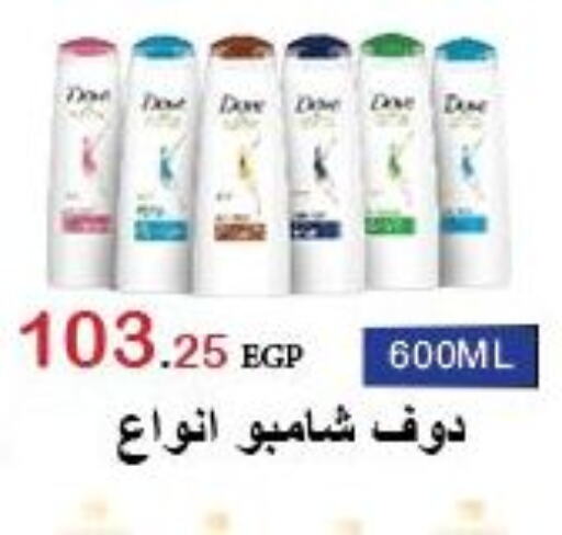 DOVE Shampoo / Conditioner  in الهواري in Egypt - القاهرة